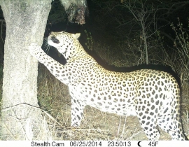 Exciting visitors to the UmPhafa Reserve!