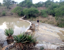 Creating water sources at Colchester Zoo’s UmPhafa Reserve!