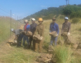 Plans are underway to release cheetah onto the UmPhafa Private Nature Reserve!