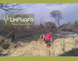 UmPhafa Reserve donations