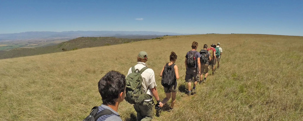 Interns back packing across a field