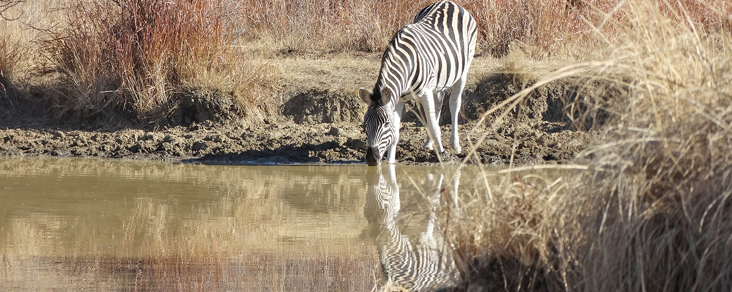 Conservation Talks