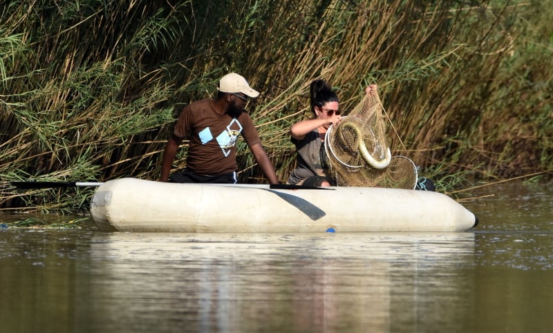 Research into the African Mottled Eel