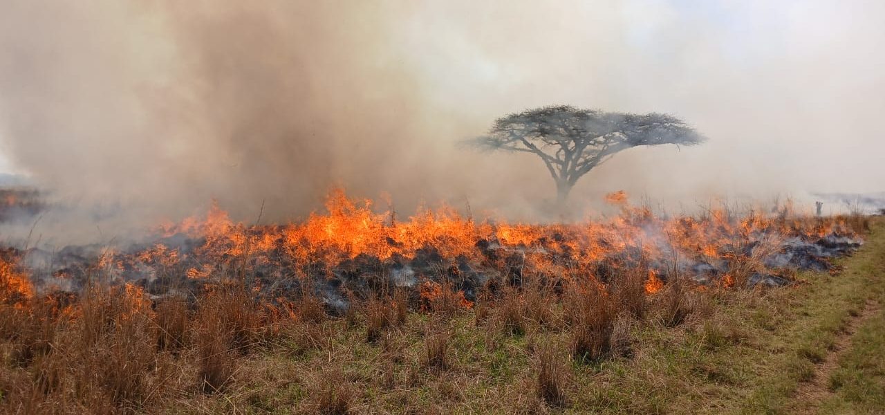 Why is fire so important to UmPhafa?