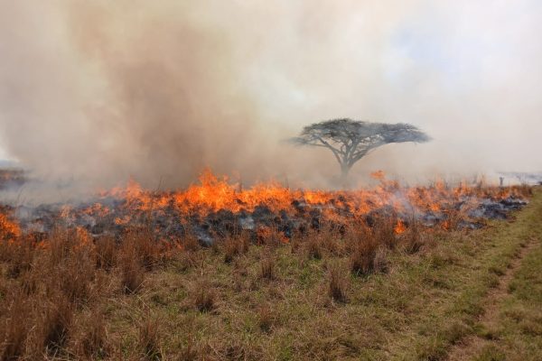 Why is fire so important to UmPhafa?
