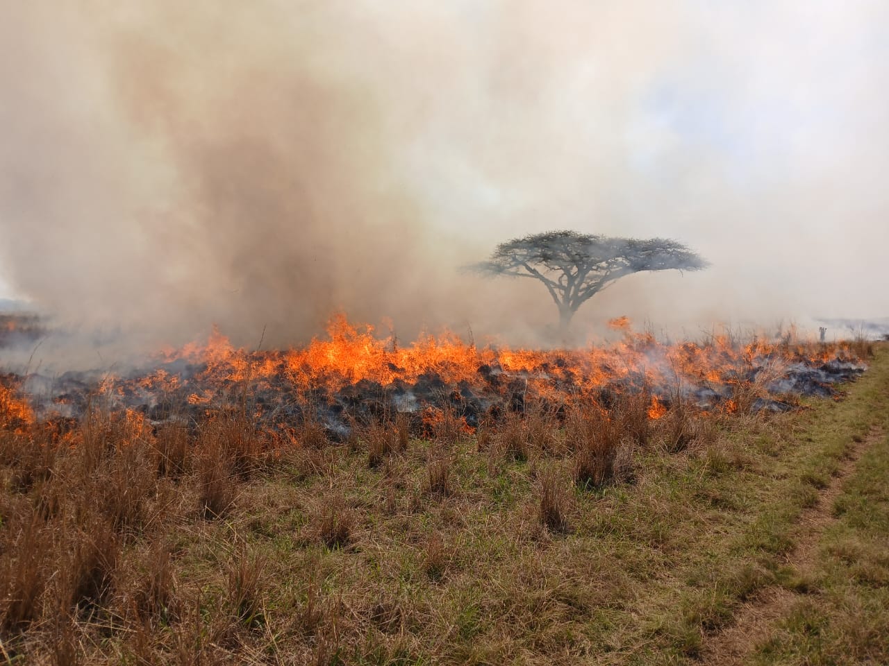Why is fire so important to UmPhafa?