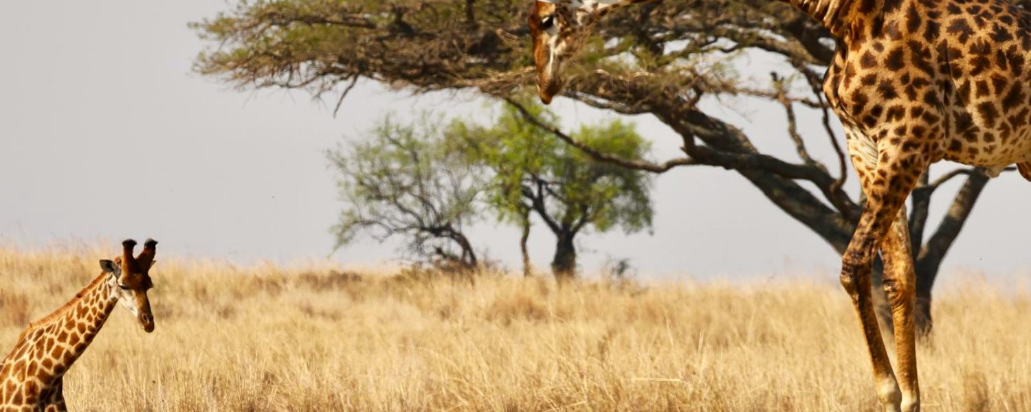 UmPhafa 3rd Quarter Update: July – September 2025