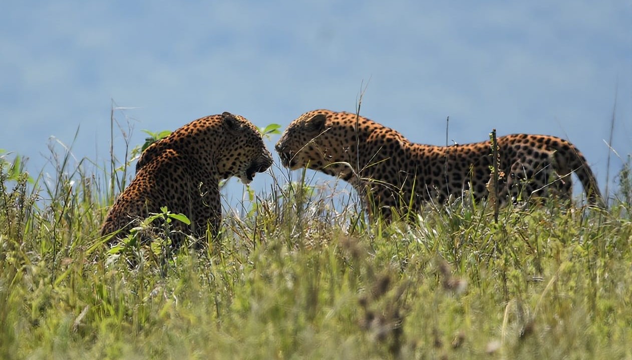 UmPhafa 1st Quarter Update: January – March 2026