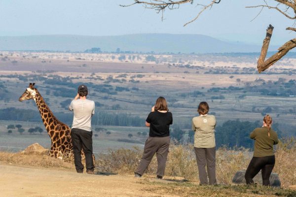 UmPhafa 2nd Quarter Update: April – June 2026