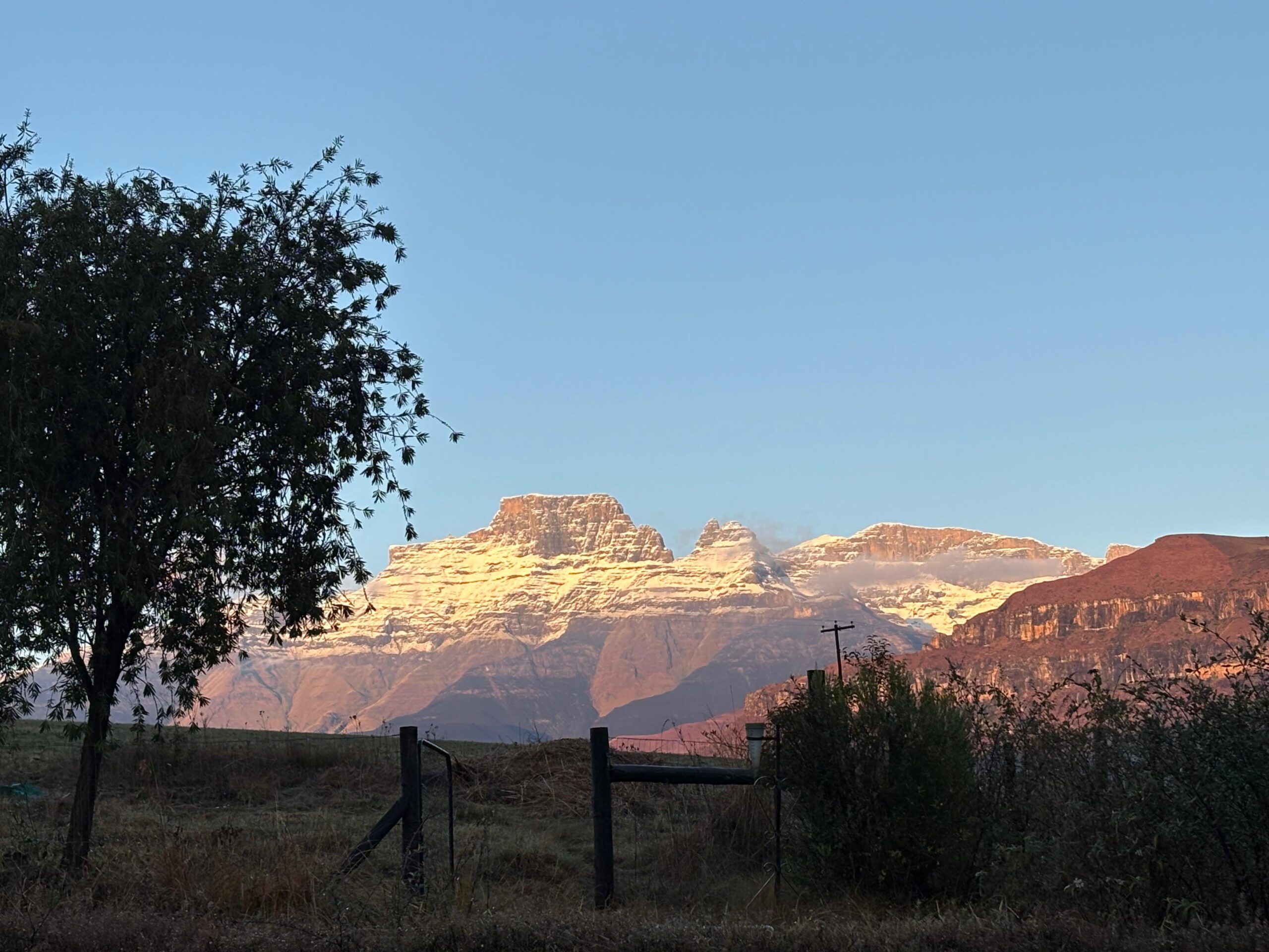 UmPhafa 3rd Quarter Update: July – September 2026